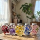 이레어린이집/이레유치원 | 창원출강 고등학생힐링클래스_with.이레희망학교