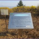 망우산 2보루 이미지