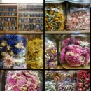 꽃내풀네 이미지