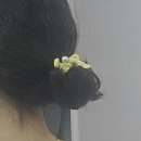 [발레복후기] 레브당스 에밀리, 레페토 팬시 피니싱(feat. 레페토데이), 룰리 이바나 레오타드 후기