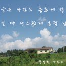 임실피자 엔 치킨