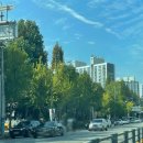 한솔한방병원 | [블챌] 9월 ~ 10월 일상 모음집