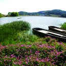 창녕 우포늪 이미지