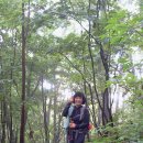 정분이네 이미지