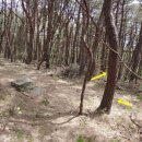 팔공산녹색길 숲길 2코스 이미지