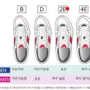 그레이디멘션 이미지