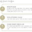 라인플러스(주) 이미지