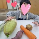 비끄아트미술이도교습소 | 제주시 이도이동 미술학원 비끄아트의 프로젝트 미술수업에 대해/ 3월, 4월 정규 수업 안내🤍