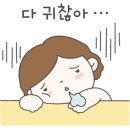 오늘, 한 두부 이미지