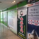오행약초쑥뜸