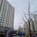 호만빌딩 이미지