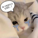 부두PC방 | 네가 참 좋아~ 짝짝짝