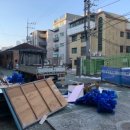 서울면일초등학교 이미지