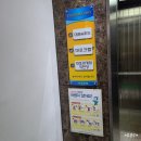 소소한 여행/일상 [양양 2일차(5)] - 속초 대포대게회직판장🦀 (#내돈내산 #속초맛집 #양양맛집 #대게맛집)