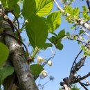 남원목장 이미지