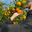 덕수농장 이미지