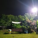 제주풍경스케치 이미지