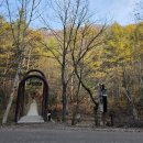 오대산 산채정식 이미지