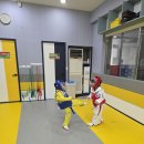 하나린 태권도장 이미지