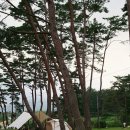 솔내음약국 이미지