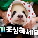 퍼니짐 네이버블로그