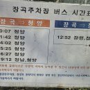 청양-홍성 청양-광천 버스시간표 이미지