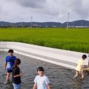 흥해읍 참새미 네이버블로그