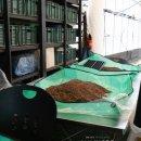 청정팜 | 고흥 설레임팜 치유정원 방문기 ( 고흥몰 애플수박 초당옥수수 )