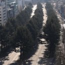 동대구로 이미지