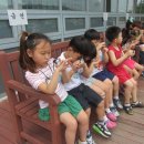 새인예유치원 이미지