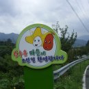 지리산리조트 이미지