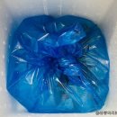 [내돈내산] 미식탁 산지직송 활쭈구미/미더덕회 솔직후기