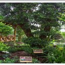 대연수목전시원 이미지