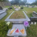 양평공설공원묘지 이미지