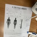 송파 문정동 : 체형교정 마사지 에이탑팀 후기