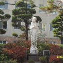 일신로40번길 이미지