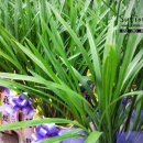 부산은행 감전동지점 이미지