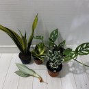 사철슈퍼 이미지