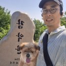 동광테크 | 파주 감악산 (26.06.28) 동광정사 - 감악산 정상