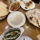 헬로인디아알와하(HELLO INDIA AL-WAHA)
