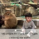 신비 | 가평 신비동물원 후기｜7개월 아기 실내동물원 + 아쿠아가든 카페 방문후기