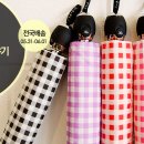 우산속으로 이미지