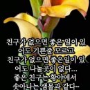 노탐