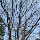 메모나게임즈 이미지