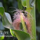 행복한 꿈 이미지