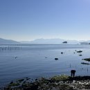 남촌실비식당 이미지