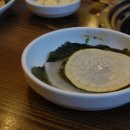 초원갈매기 이미지