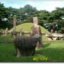 여주-0008 이미지