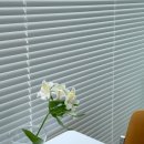 분당꽃집 서판교꽃집 플레르콤마 Fleurscomma 생일꽃다발 후기