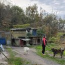 국사봉농장 이미지